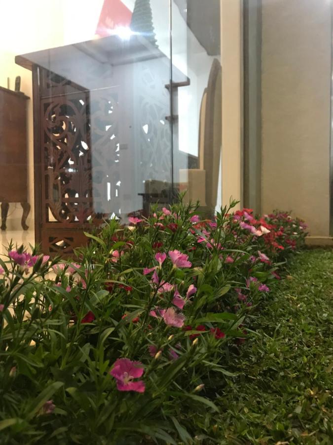 Ivy Bungalow 努沃勒埃利耶 外观 照片