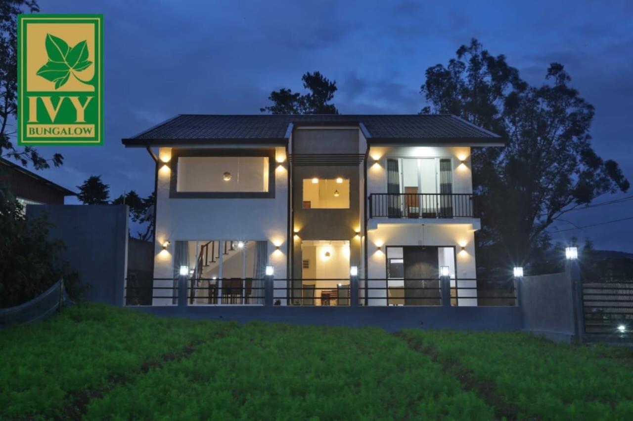 Ivy Bungalow 努沃勒埃利耶 外观 照片