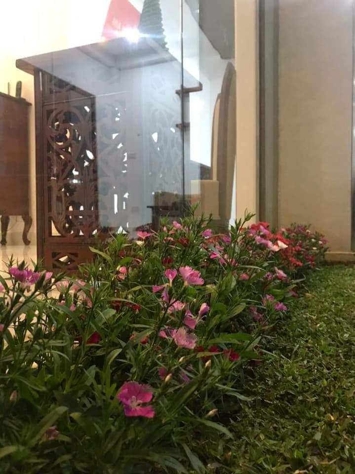 Ivy Bungalow 努沃勒埃利耶 外观 照片