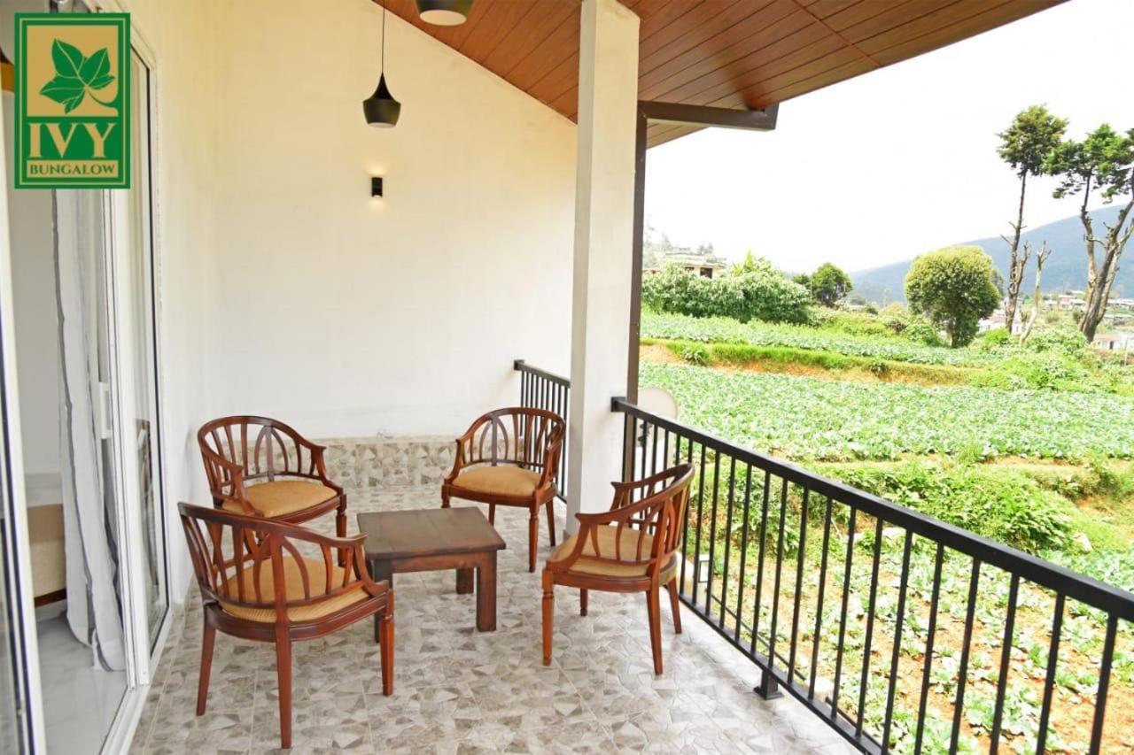 Ivy Bungalow 努沃勒埃利耶 外观 照片